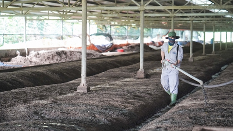 GREENFEED hướng tới tăng trưởng bền vững - Ảnh 2.