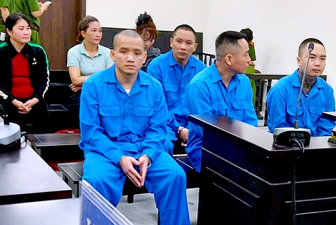 Mua hai bé gái rồi giao cấu, ép bán dâm, chủ quán karaoke Hoàng Gia bị cáo buộc 6 tội danh - Ảnh 1.