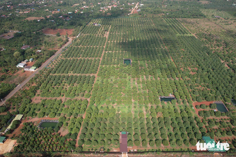 Nông dân - Ảnh 1.