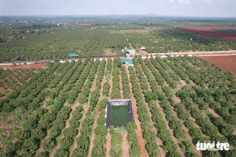 Nông dân - Ảnh 5.