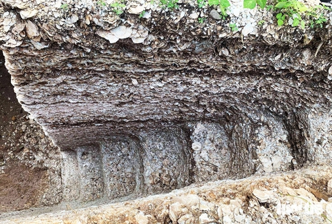 di chỉ Quỳnh Văn - Ảnh 4.
