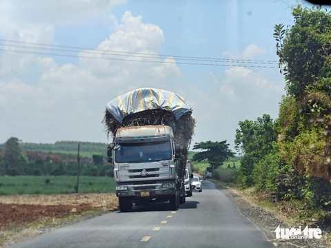 hợp nhất - Ảnh 3.