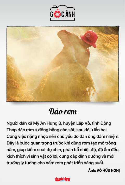 tin tức - Ảnh 8.