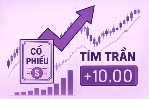 Điểm tên loạt cổ phiếu tăng 'tím trần' tại phiên chứng khoán Việt giảm mạnh nhất châu Á - Ảnh 1.