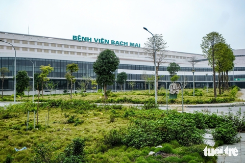 Bạch Mai - Ảnh 1.