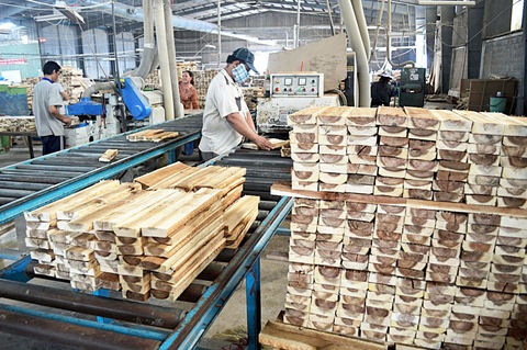 Mỹ áp thuế 46%: Doanh nghiệp chuyển hướng, tính kế tìm đến 'gã khổng lồ' mới Ấn Độ, Trung Đông... - Ảnh 3.