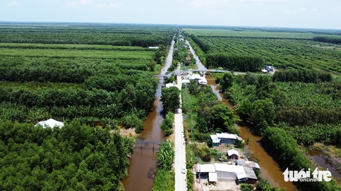 nước ao - Ảnh 2.
