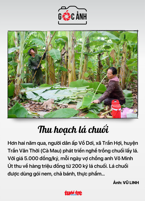 Vườn quốc gia Cát Tiên - Ảnh 4.