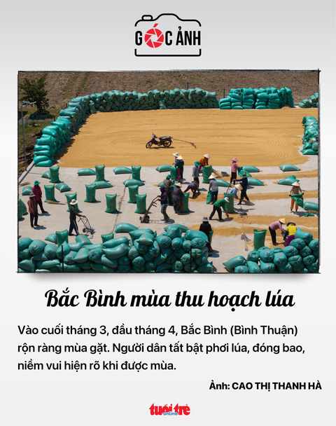 áp thuế - Ảnh 5.