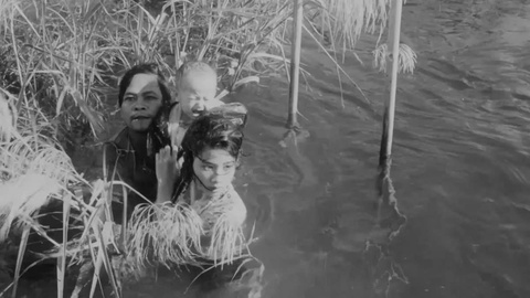 Cánh đồng hoang - Ảnh 3.