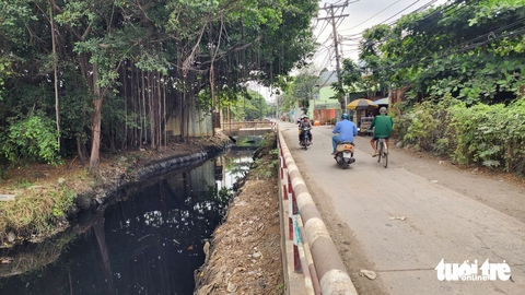 xả rác - Ảnh 3.