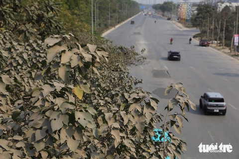 không khí - Ảnh 3.