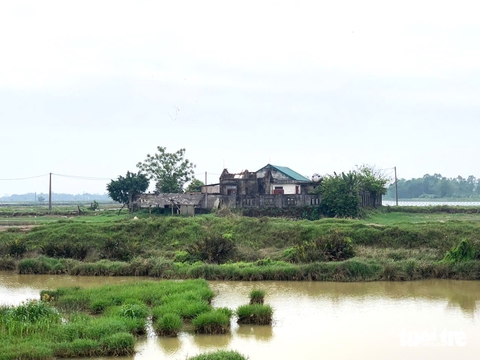 làng thanh niên - Ảnh 1.