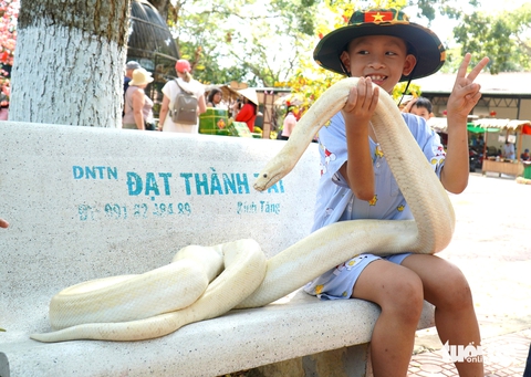 Trại rắn Đồng Tâm trở thành điểm du lịch tiềm năng 5 sao - Ảnh 1.