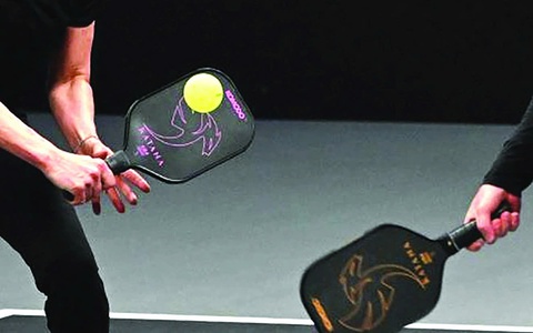 Chơi pickleball - Ảnh 1.