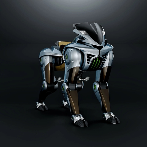Kawasaki Corleo - Ảnh 2.