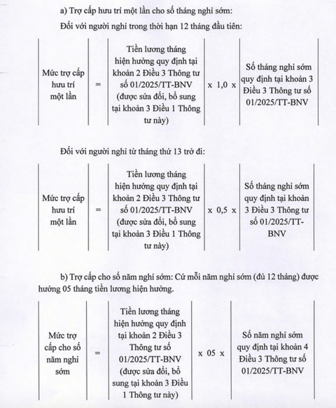 nghỉ hưu trước tuổi - Ảnh 3.