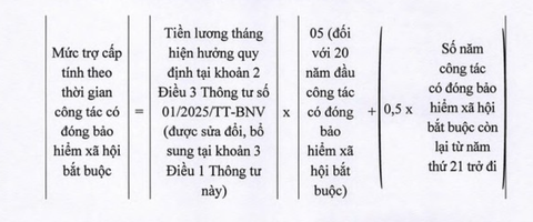 nghỉ hưu trước tuổi - Ảnh 4.