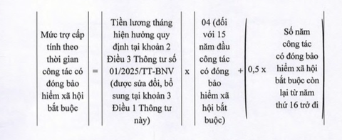 nghỉ hưu trước tuổi - Ảnh 5.