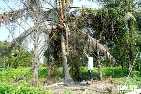 Chi tiền tỉ mua đất ở quê để dưỡng già, bị hàng xóm rào bít đường vào ra - Ảnh 1.