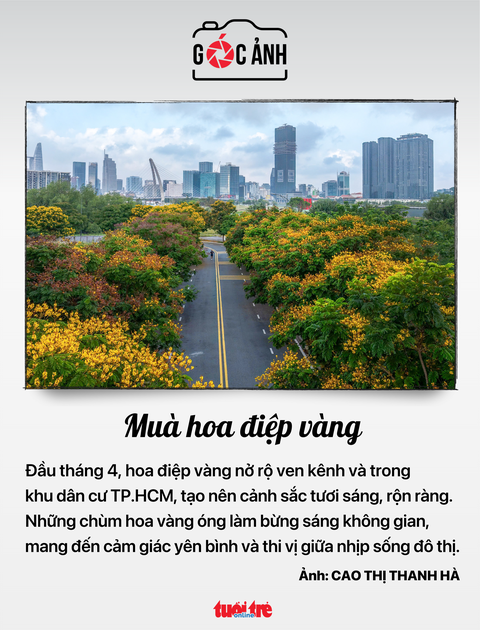 căn hộ - Ảnh 6.