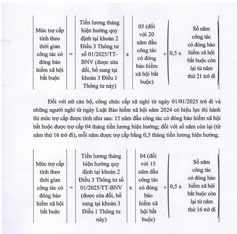 nghỉ hưu trước tuổi - Ảnh 7.