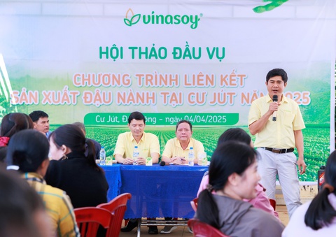 Vụ mới bắt đầu trên ‘Cánh đồng đạm tự nhiên’ ở Cư Jút - Ảnh 1.
