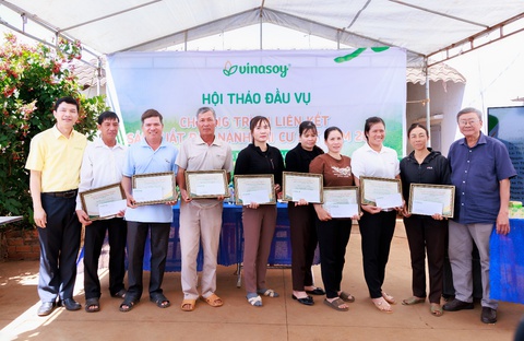 Vụ mới bắt đầu trên ‘Cánh đồng đạm tự nhiên’ ở Cư Jút - Ảnh 2.