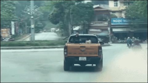 Tài xế xe bán tải chở hai trẻ nhỏ trên thùng xe bị xử phạt, trừ 6 điểm bằng lái - Ảnh 2.