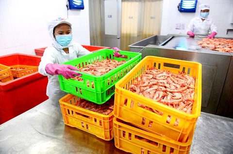 Mỹ áp thuế cao nhưng một bộ vẫn quyết tâm thu 70 tỉ USD từ xuất khẩu nông sản - Ảnh 2.