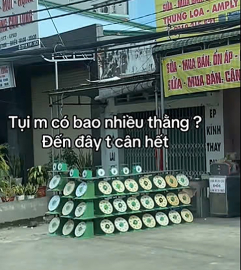 gia tiên - Ảnh 6.