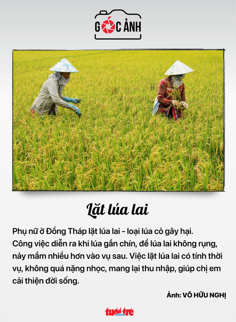 tin tức - Ảnh 8.