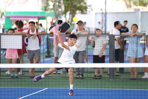 Pickleball - Ảnh 3.