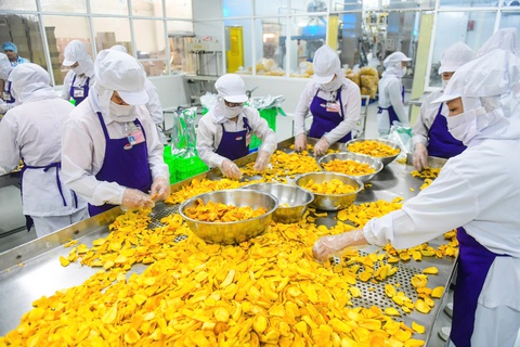 kinh tế tư nhân - Ảnh 1.