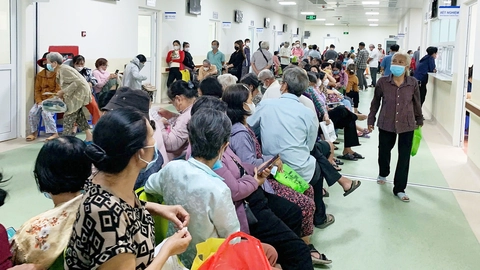 bảo hiểm - Ảnh 1.