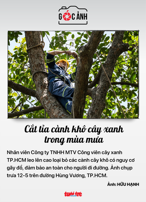 tin tức - Ảnh 6.