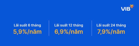 VIB - Ảnh 4.