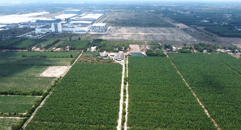 thi hành án - Ảnh 1.