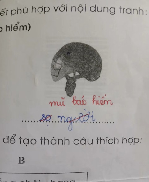 sỏi - Ảnh 2.