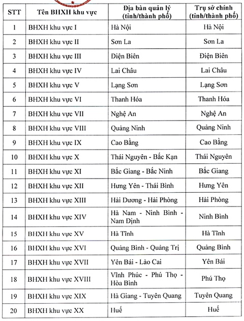 bảo hiểm xã hội - Ảnh 2.