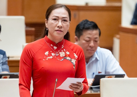 làm việc từ xa - Ảnh 1.