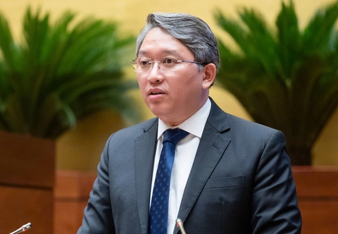 pháp luật - Ảnh 1.