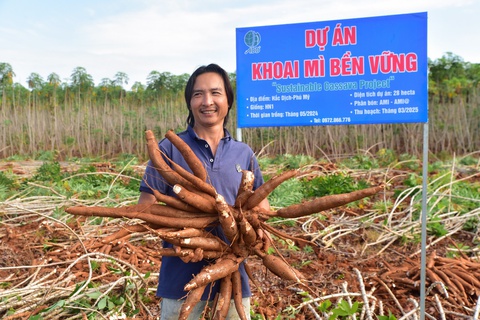 khoai mì - Ảnh 2.