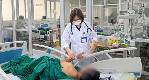 Mắc viêm màng não do loại nấm tồn tại phổ biến ở môi trường tự nhiên - Ảnh 1. viêm màng não - Ảnh 1.