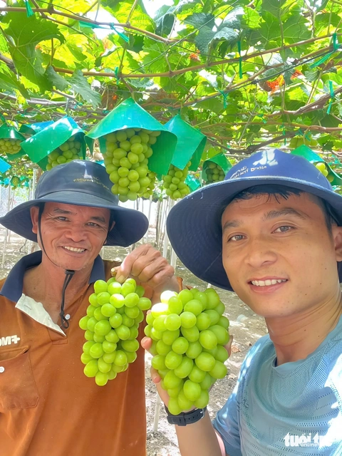 Vườn nho mẫu đơn trĩu quả khiến du khách mê mẩn 'sống ảo' - Ảnh 6.