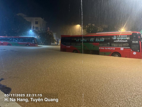 mưa to - Ảnh 1.