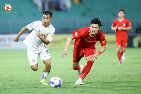 Bình Định - Ảnh 1.