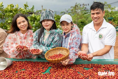 Hàng Việt liệu có đủ sức cạnh tranh trên sàn thương mại điện tử? - Ảnh 2.