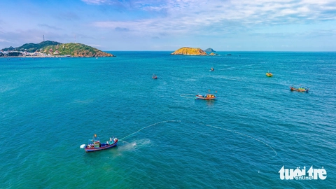 Nhơn Lý - Ảnh 3.
