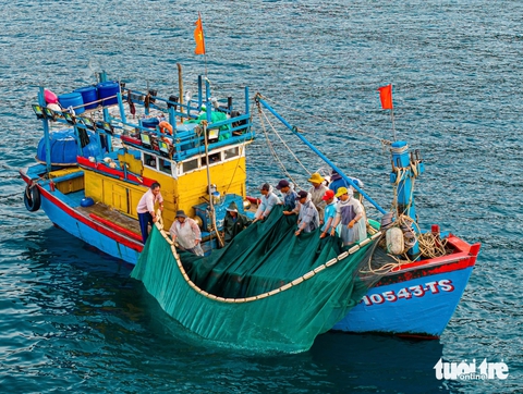 Nhơn Lý - Ảnh 5.
